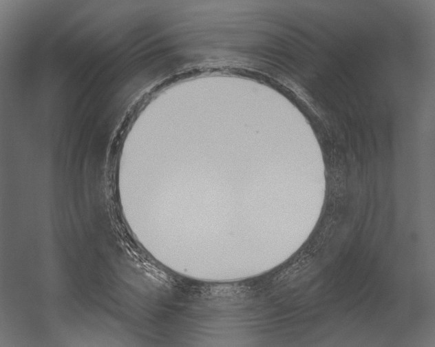 X0000054460832200507291019