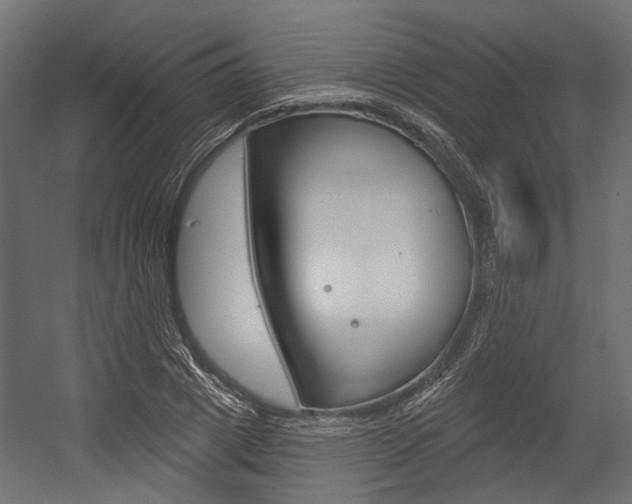 X0000054460833200507291019