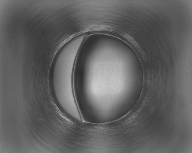 X0000054460834200507291019