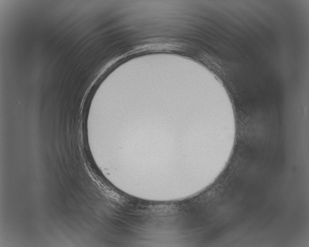 X0000054460836200507291019