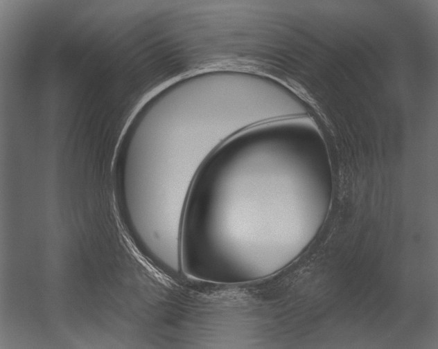 X0000054460838200507291019