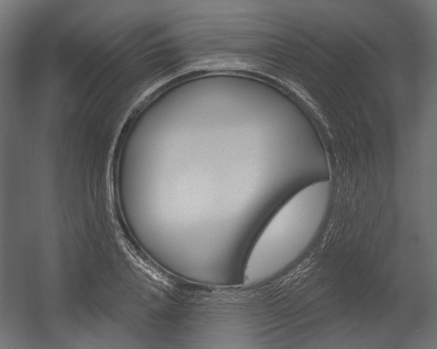 X0000054460840200507291019