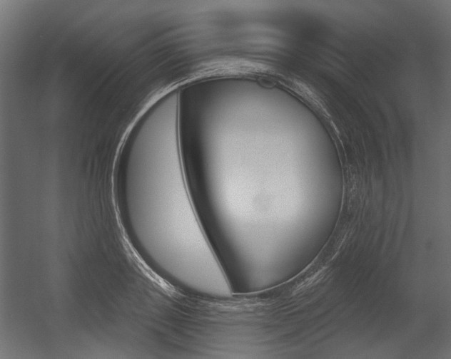 X0000054460843200507291019