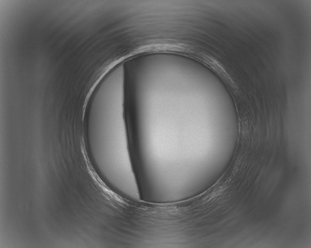 X0000054460844200507291019