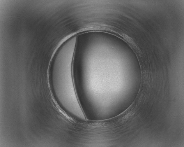 X0000054460846200507291019