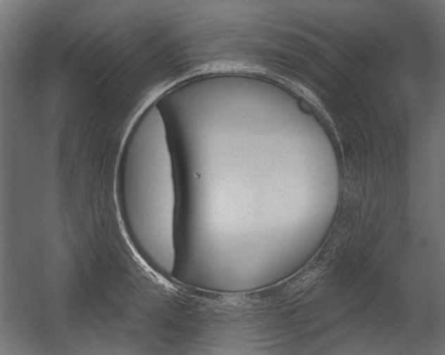 X0000054460847200507291019