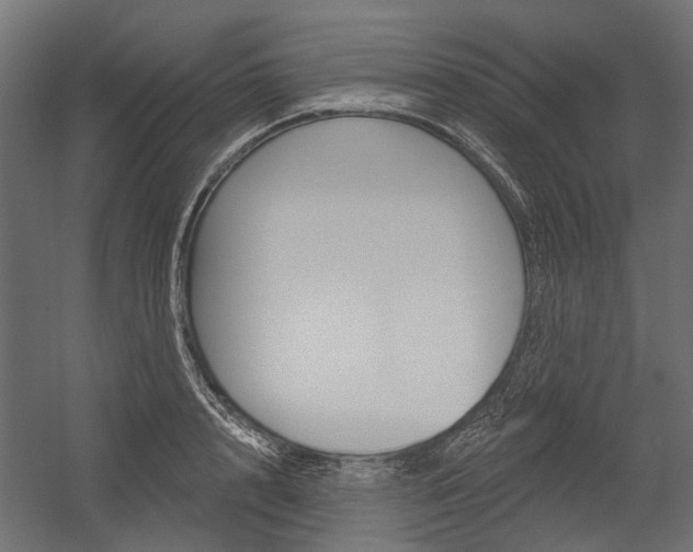 X0000054460848200507291019