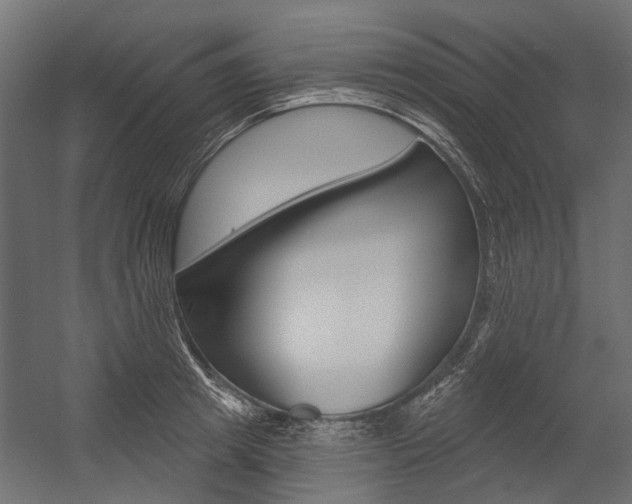 X0000054460849200507291019