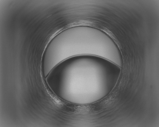 X0000054460850200507291019