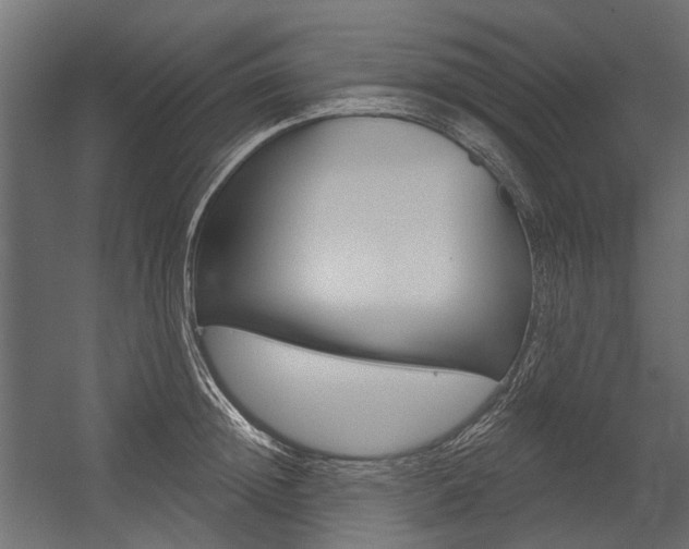 X0000054460852200507291019