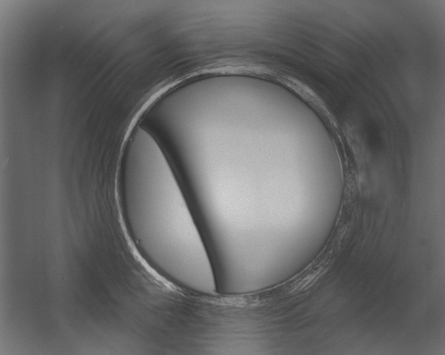 X0000054460855200507291019