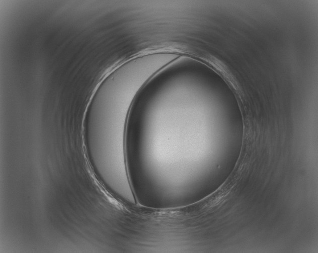 X0000054460858200507291019