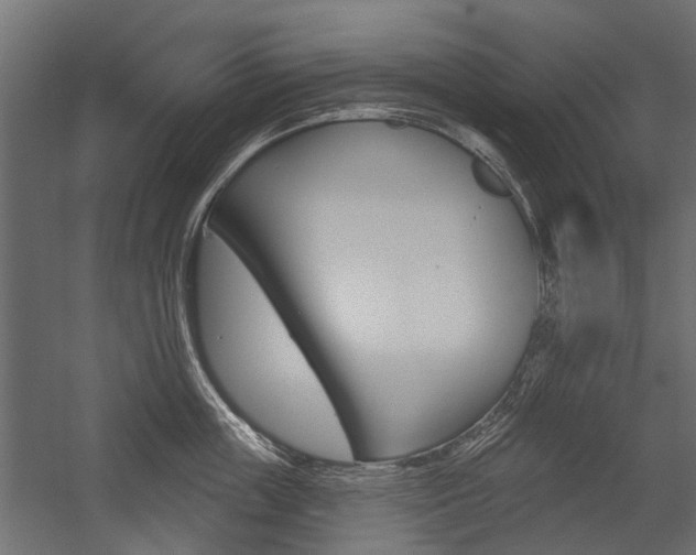 X0000054460859200507291019