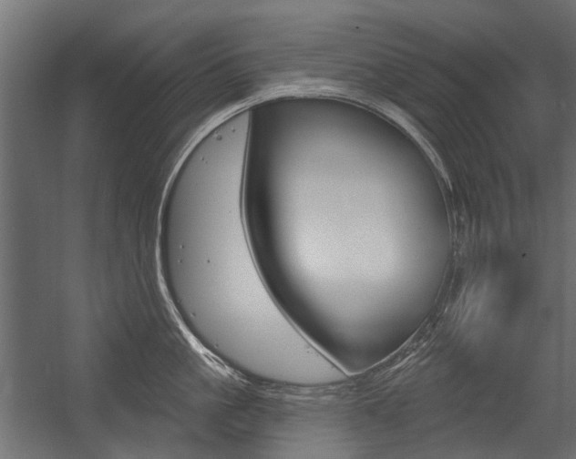 X0000054460861200507291019