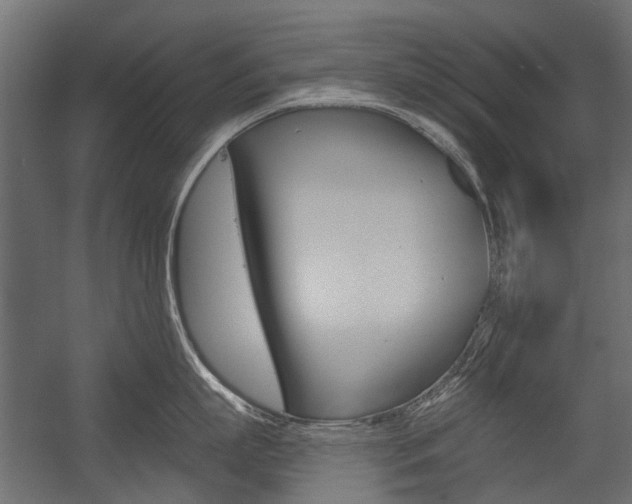 X0000054460863200507291019