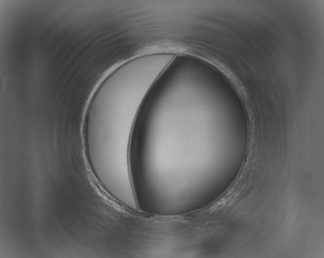 X0000054460864200507291019