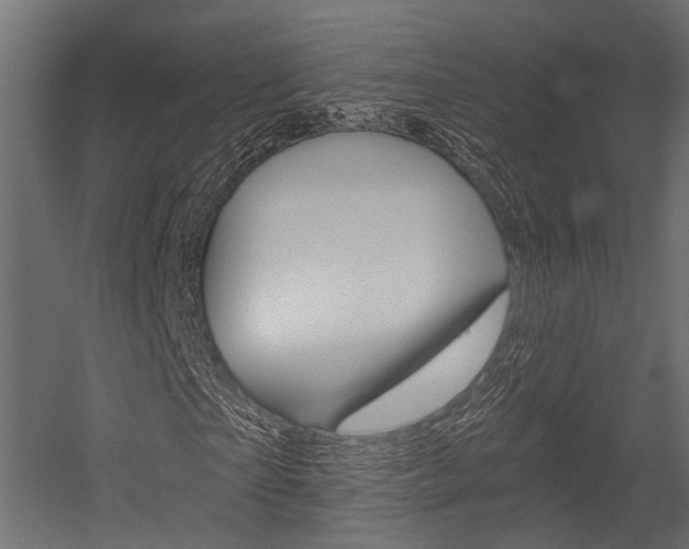 X0000054460865200507291019