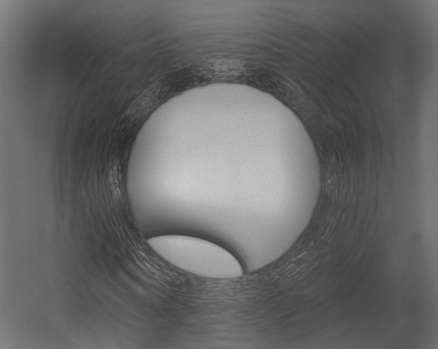 X0000054460866200507291019