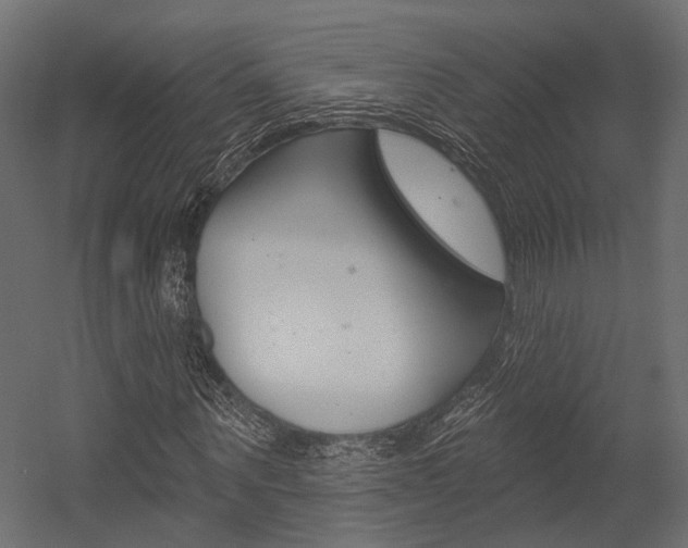 X0000054460867200507291019