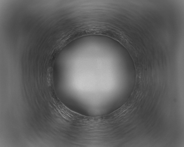X0000054460868200507291019