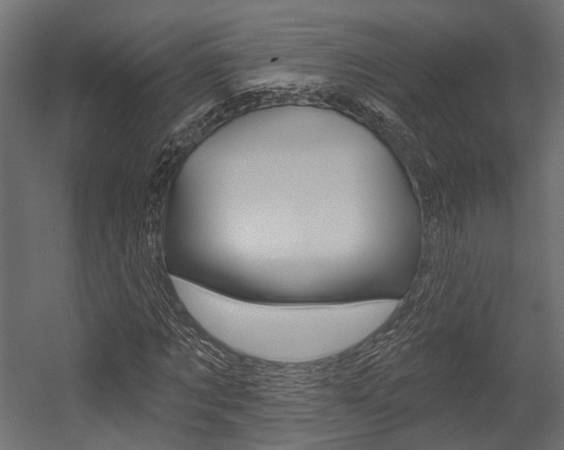 X0000054460869200507291019