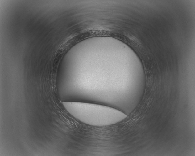 X0000054460870200507291019