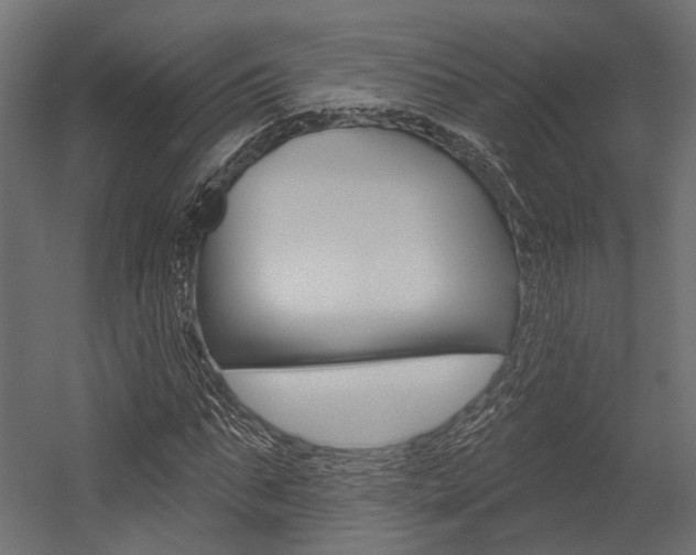 X0000054460871200507291018