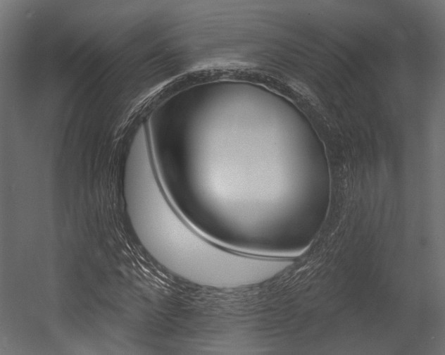 X0000054460872200507291018