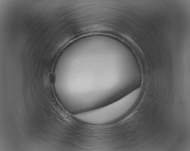 X0000054460873200507291018