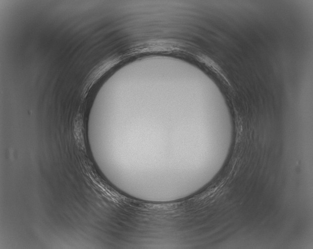 X0000054460874200507291018