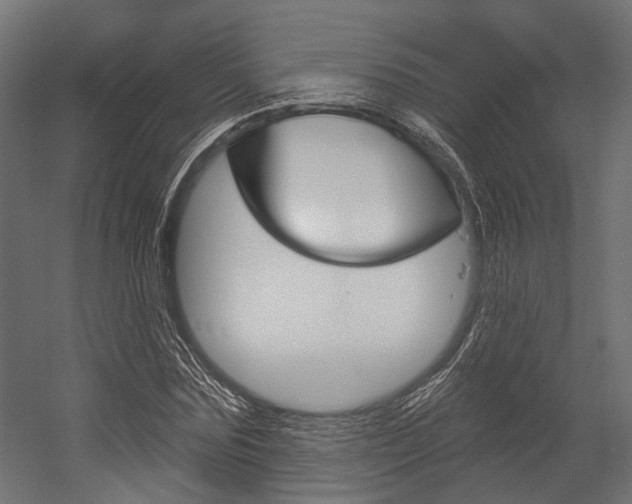 X0000054460875200507291018