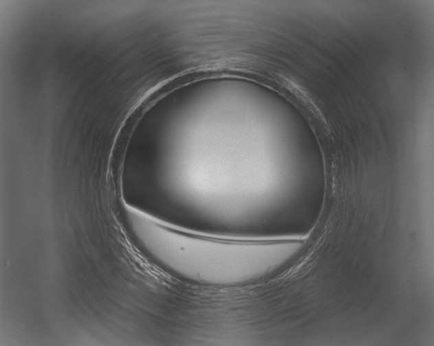 X0000054460876200507291018