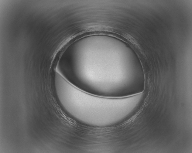X0000054460877200507291018