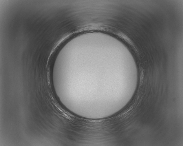 X0000054460878200507291018