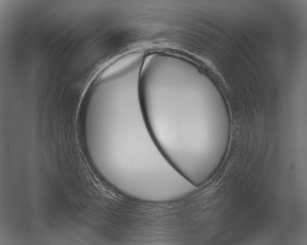 X0000054460879200507291018