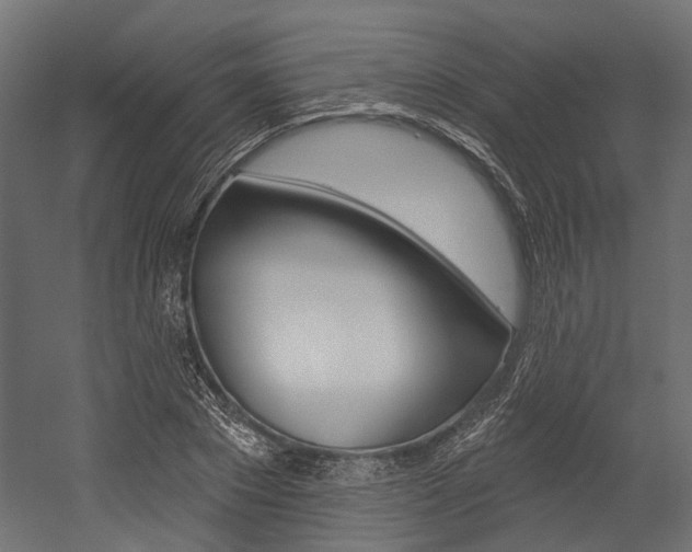 X0000054460881200507291018