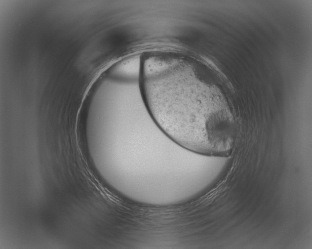 X0000054460883200507291018
