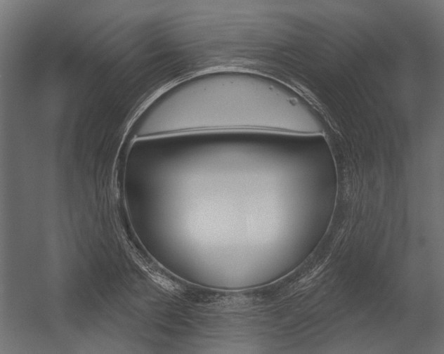X0000054460885200507291018