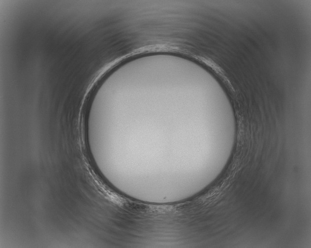 X0000054460886200507291018