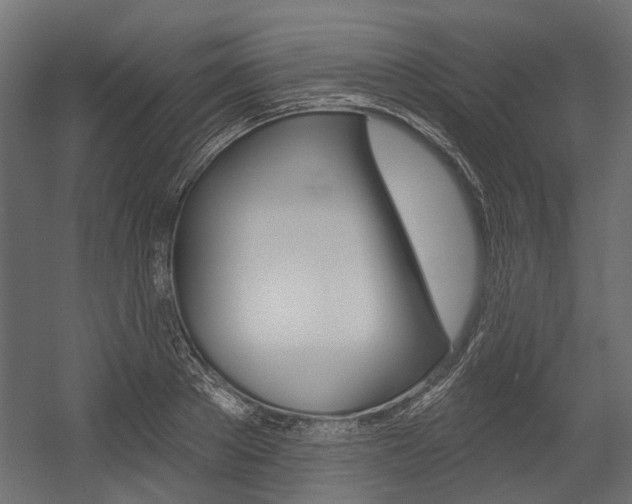 X0000054460889200507291018