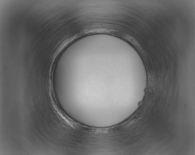 X0000054460890200507291018
