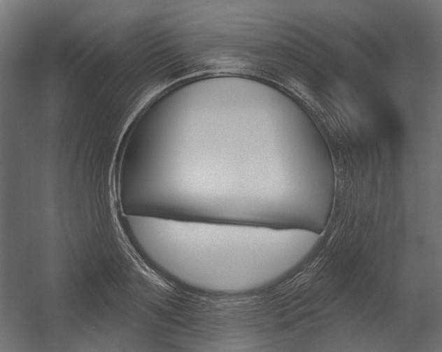 X0000054460891200507291018