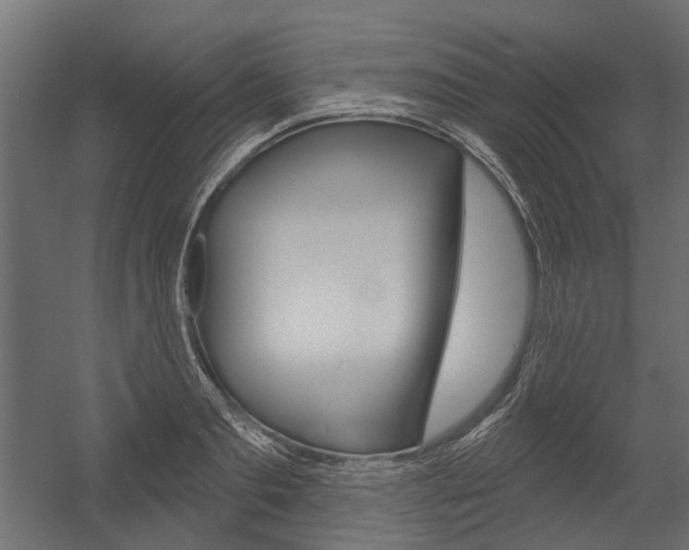 X0000054460893200507291018
