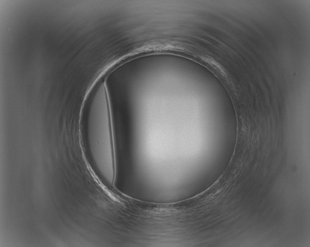 X0000054460894200507291018