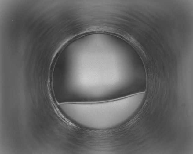 X0000054460896200507291018