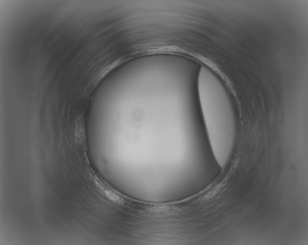 X0000054460897200507291018