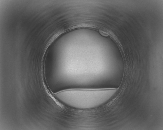 X0000054460898200507291018