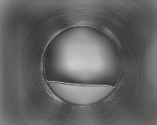 X0000054460900200507291018