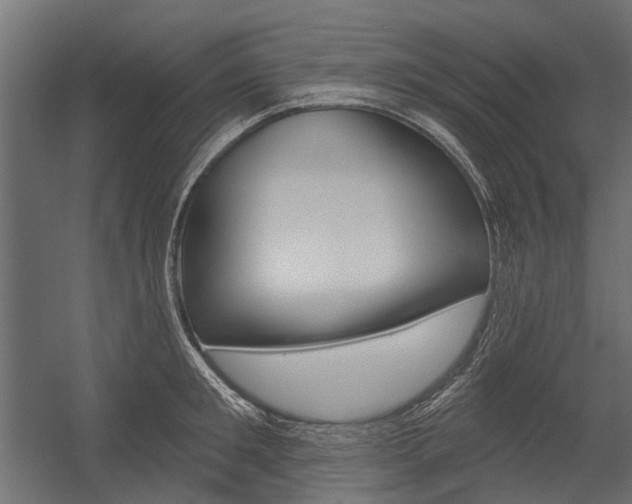 X0000054460901200507291018