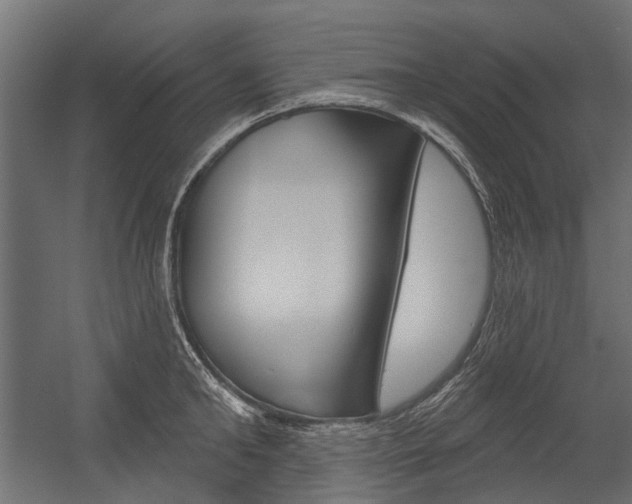 X0000054460902200507291018